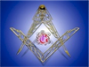 Avatar di a.freemason